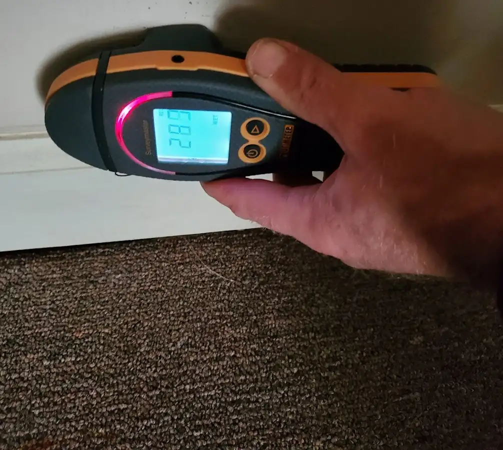 Moisture detection at baseboard during Sewage Cleanup & Sanitation in Dexter